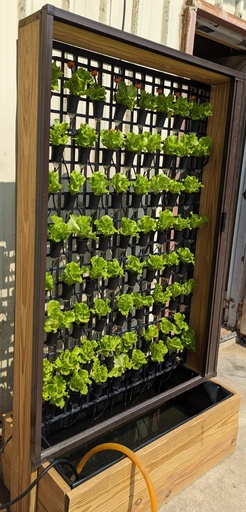 Movable Farm, Double Side