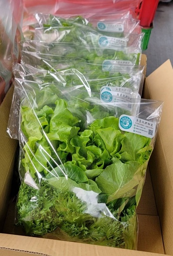 新包裝生菜-500g/袋 (2包)